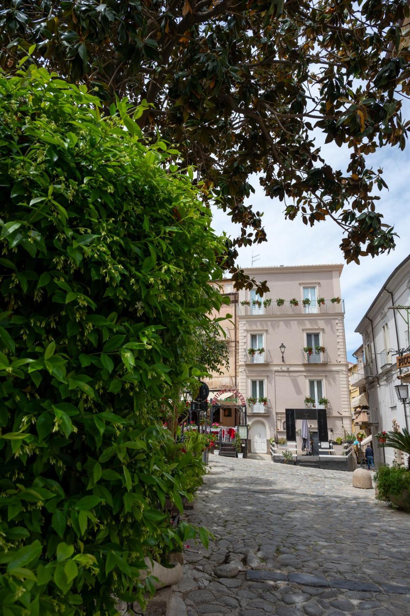 La Divina - Free Parking - Bed & Breakfast Tropea Exterior photo