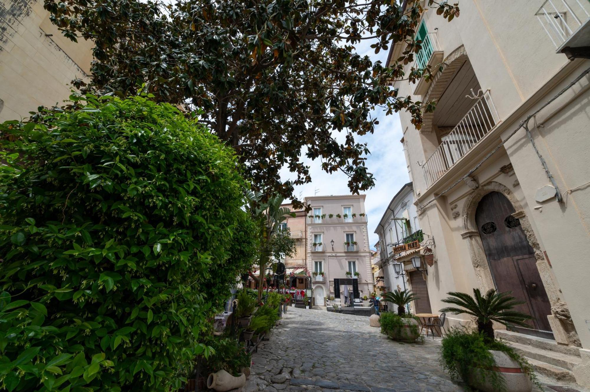 La Divina - Free Parking - Bed & Breakfast Tropea Exterior photo